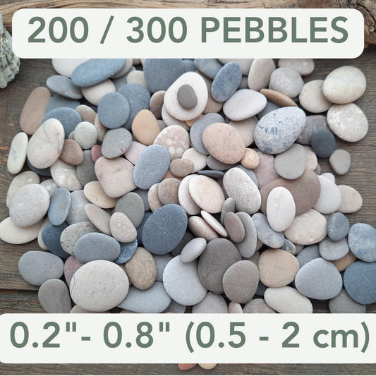 Assorted pebbles on a wooden surface with size specifications: 0.2 inches - 0.8 inches (0.5 - 2 cm)