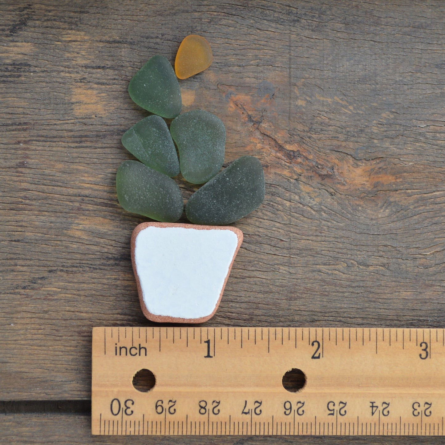 Sea Glass Succulent - Art Supplies