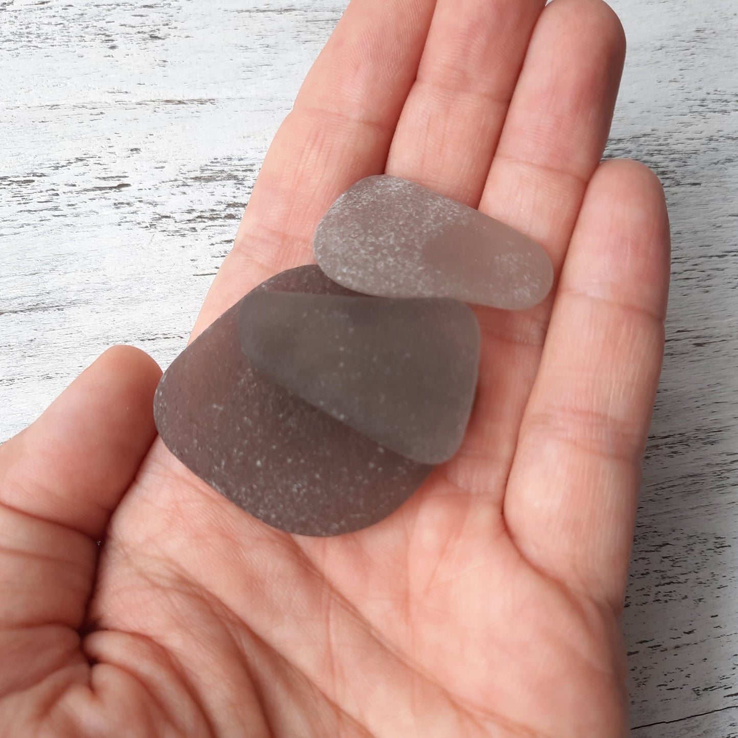 Rose Gray - 3 pieces