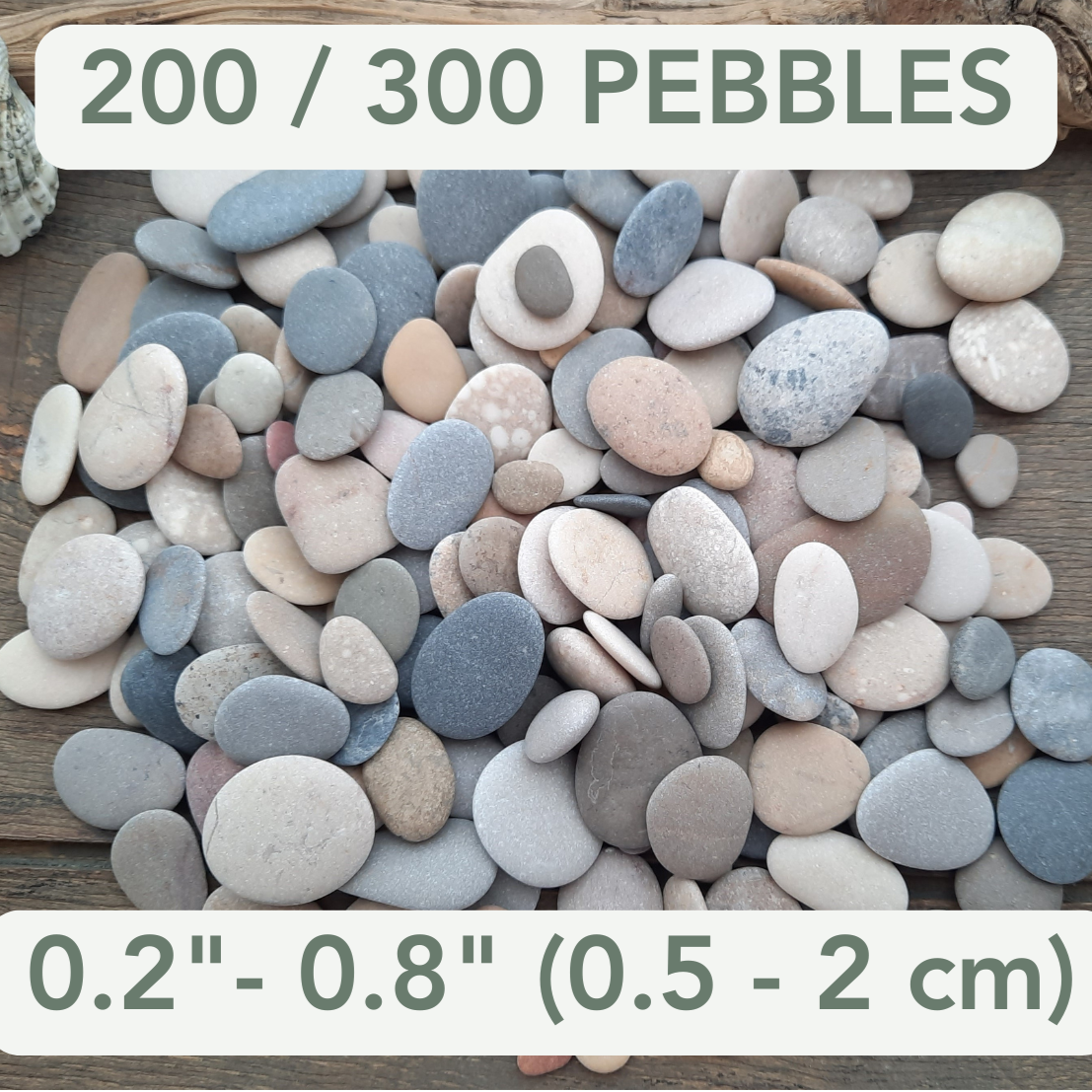 Assorted pebbles on a wooden surface with size specifications: 0.2 inches - 0.8 inches (0.5 - 2 cm) 