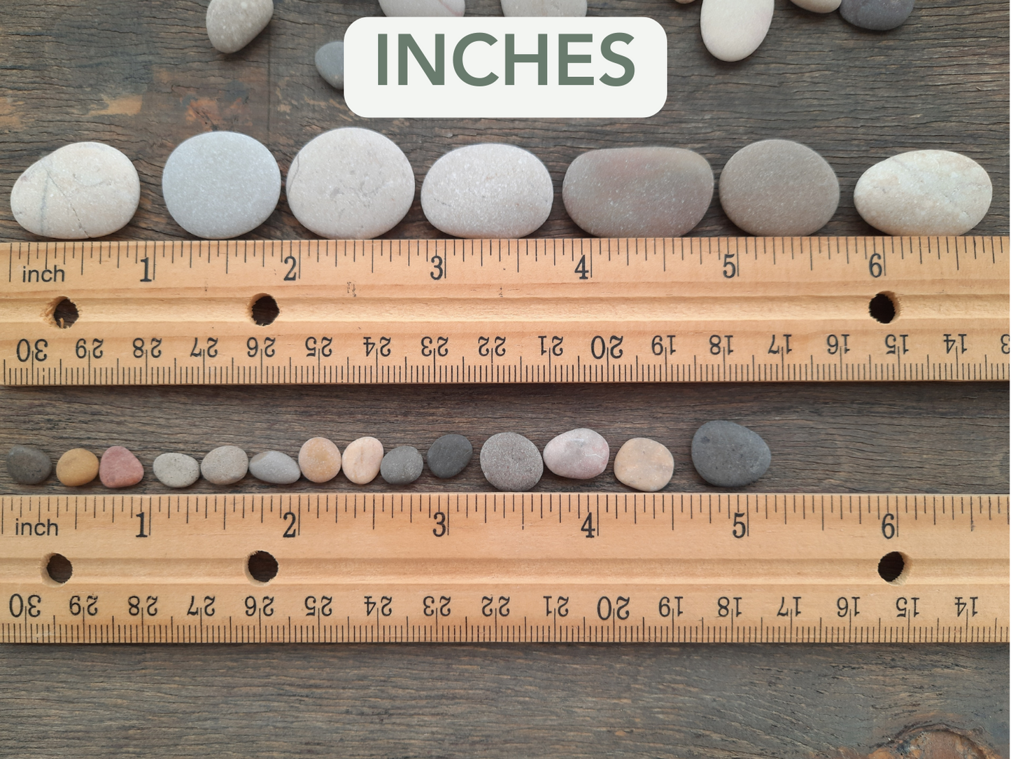 Rocks arranged next to a wooden ruler on a wooden surface with 'INCHES' text above.