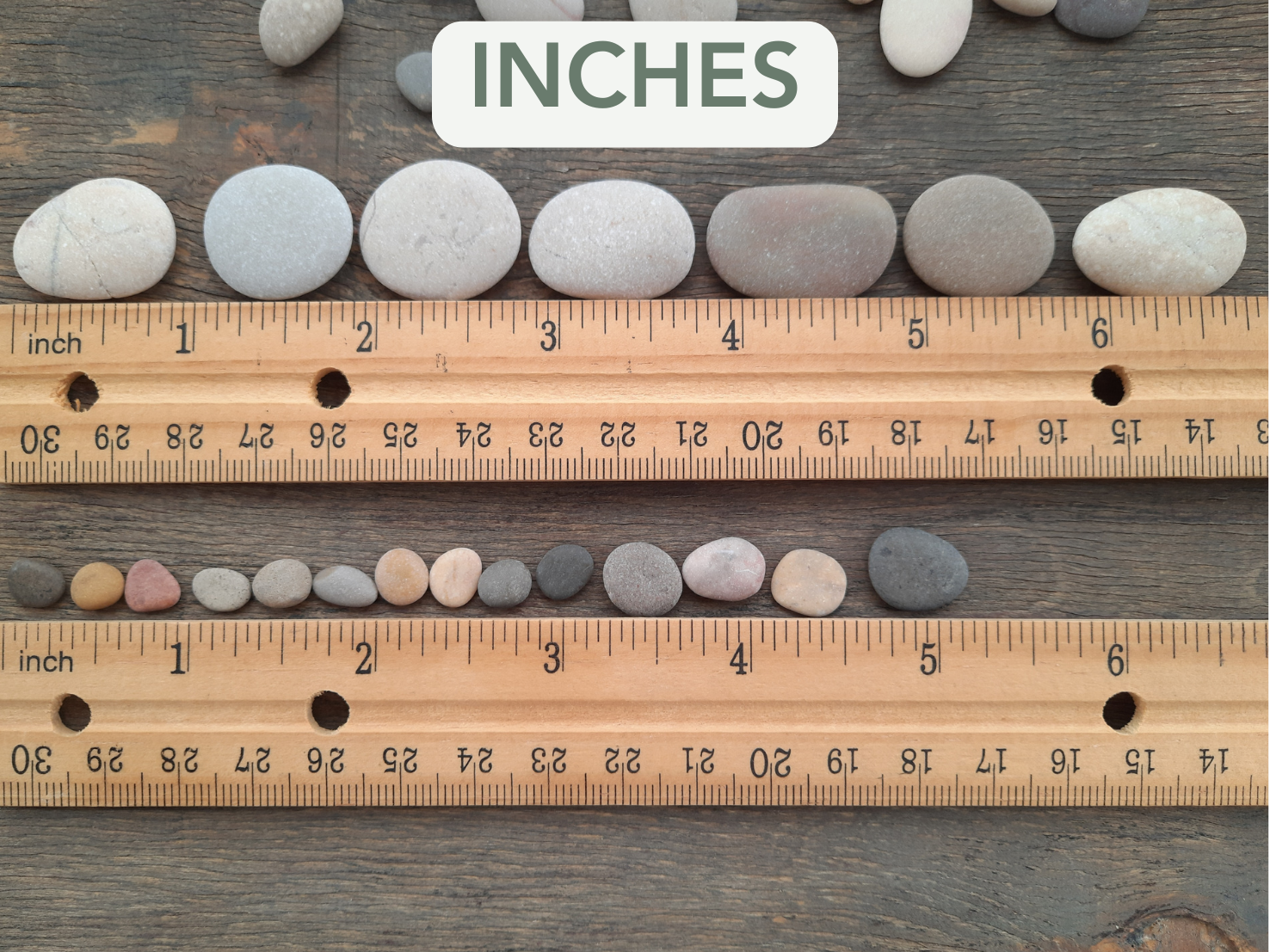Rocks arranged next to a wooden ruler on a wooden surface with 'INCHES' text above.