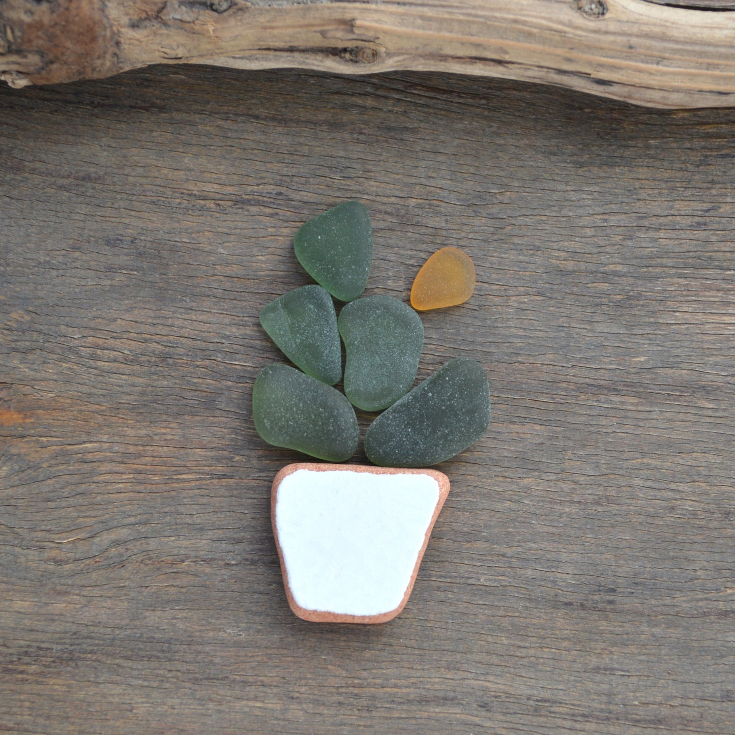 Sea Glass Succulent - Art Supplies