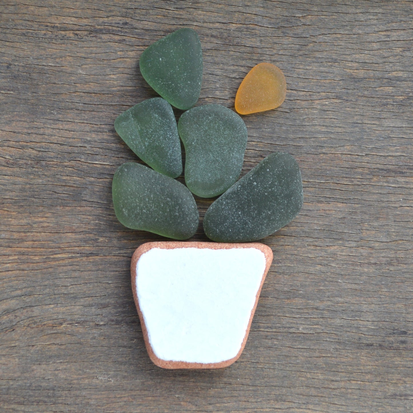 Sea Glass Succulent - Art Supplies