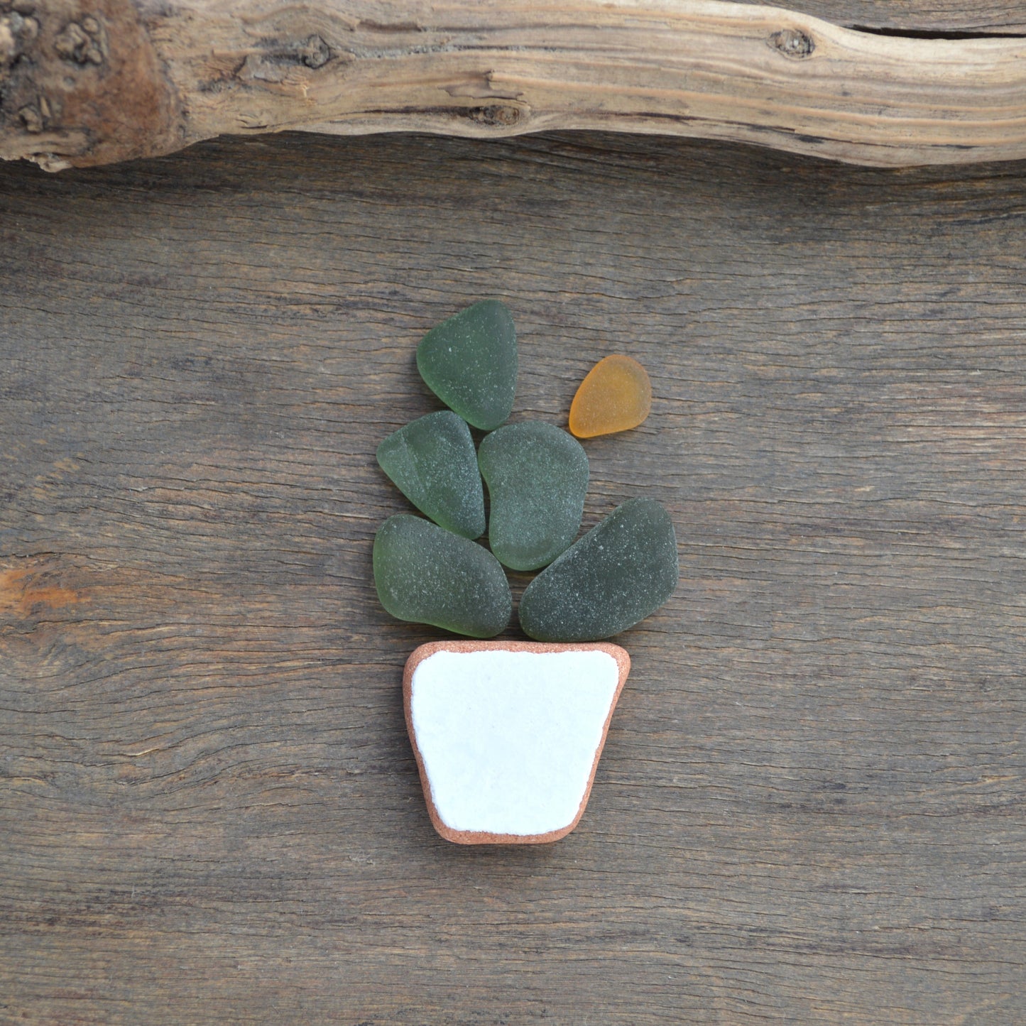 Sea Glass Succulent - Art Supplies