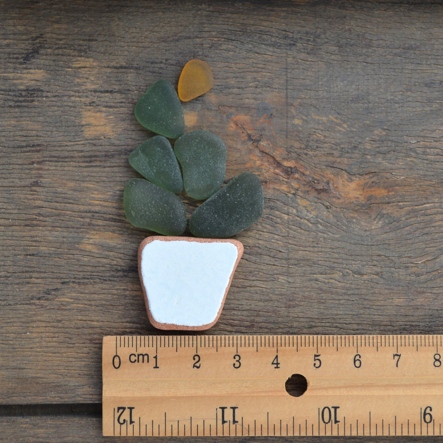 Sea Glass Succulent - Art Supplies