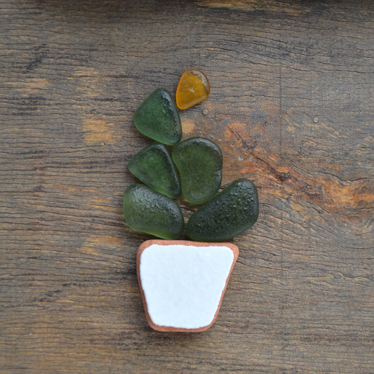 Sea Glass Succulent - Art Supplies