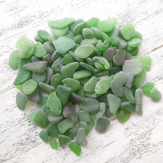 Bulk Green Tiny/Small Genuine Sea Glass - Craft Quality